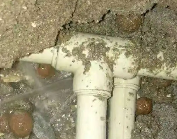 右江测漏水多少钱