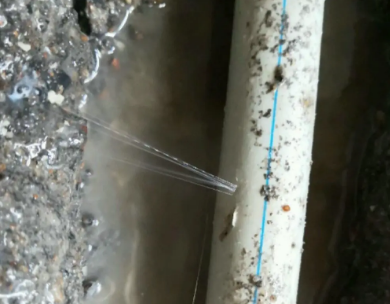 右江测漏水哪家好