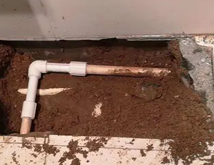 右江测漏水哪家好