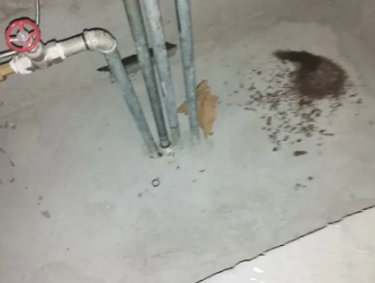 右江卫生间测漏水价格明细