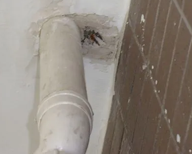 右江漏水检测哪家好